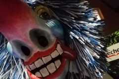 IMG-20211111-WA0012